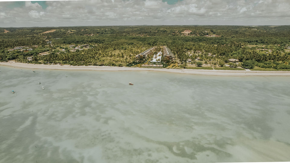 Vista aérea da faixa de praia e da vegetação de São Miguel dos Milagres